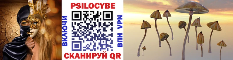 Псилоцибиновые грибы прущие грибы  Сясьстрой 